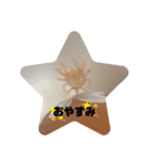 うちのウーパールーパー（個別スタンプ：10）
