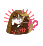 バニラとガゼル（個別スタンプ：2）