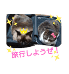 バニラとガゼル（個別スタンプ：17）