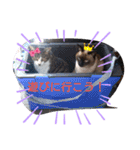 バニラとガゼル（個別スタンプ：18）