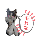 バニラとガゼル（個別スタンプ：20）