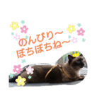 バニラとガゼル（個別スタンプ：23）