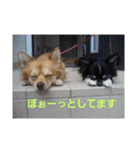 千絵オリジナル（個別スタンプ：6）