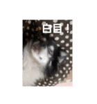 千絵オリジナル（個別スタンプ：7）