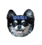とと、るる（個別スタンプ：4）