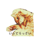 かいねこず（個別スタンプ：3）