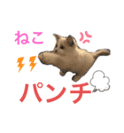 ラグドール ちーむラグちゃんズ（個別スタンプ：15）