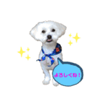 トゥトゥ love！（個別スタンプ：4）