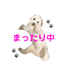 トゥトゥ love！（個別スタンプ：9）