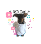 Hey ！TiNA！（個別スタンプ：1）