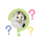 ジルくんスタンプ①（個別スタンプ：8）