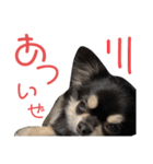 ポン酢くんの日常。（個別スタンプ：2）