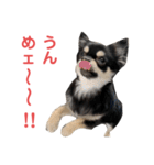ポン酢くんの日常。（個別スタンプ：10）