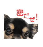 ポン酢くんの日常。（個別スタンプ：15）