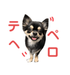 ポン酢くんの日常。（個別スタンプ：20）