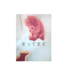 with ＆blackhoney（個別スタンプ：5）