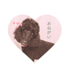 with ＆blackhoney（個別スタンプ：14）