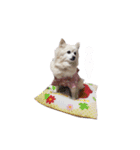ミミコロ1（個別スタンプ：23）