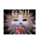 おはぎぴょん（個別スタンプ：10）