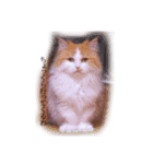 おはぎぴょん（個別スタンプ：13）