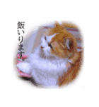 おはぎぴょん（個別スタンプ：14）