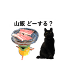 山に登りたい猫（関東編）（個別スタンプ：3）