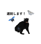 山に登りたい猫（関東編）（個別スタンプ：6）