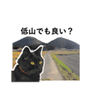 山に登りたい猫（関東編）（個別スタンプ：8）