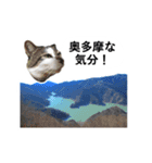 山に登りたい猫（関東編）（個別スタンプ：9）
