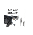 山に登りたい猫（関東編）（個別スタンプ：10）