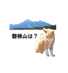山に登りたい猫（関東編）（個別スタンプ：11）