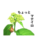 山に登りたい猫（関東編）（個別スタンプ：12）
