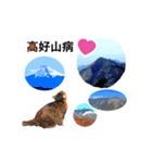 山に登りたい猫（関東編）（個別スタンプ：14）