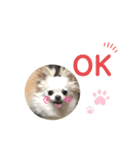 CiAL（個別スタンプ：9）