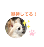 CiAL（個別スタンプ：16）