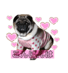 あいらぶゆーらぶ3（個別スタンプ：3）