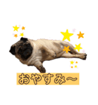 あいらぶゆーらぶ3（個別スタンプ：4）