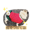 あいらぶゆーらぶ3（個別スタンプ：9）