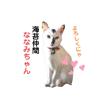ワールドキャッツスタンプ part2（個別スタンプ：2）