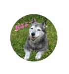 ハナ姉さんとすばちゃん その2（個別スタンプ：1）