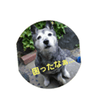 ハナ姉さんとすばちゃん その2（個別スタンプ：3）