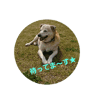 ハナ姉さんとすばちゃん その3（個別スタンプ：6）