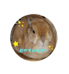 しおさんちのマロン（個別スタンプ：5）