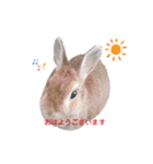 しおさんちのマロン（個別スタンプ：9）