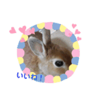 しおさんちのマロン（個別スタンプ：22）