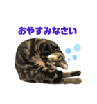 るーちゃのスタンプ（個別スタンプ：2）