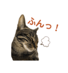 るーちゃのスタンプ（個別スタンプ：7）