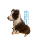 ノアくん★（個別スタンプ：4）