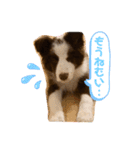 ノアくん★（個別スタンプ：18）