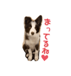 ノアくん★（個別スタンプ：19）